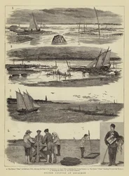 Oyster Culture at Arcachon